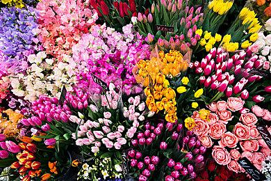 GOG喜加一：《巫师》系列数字特典免费领取